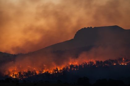 Fase preallarme INCENDI boschivi